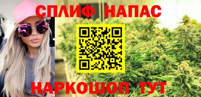 стафф Гудермес