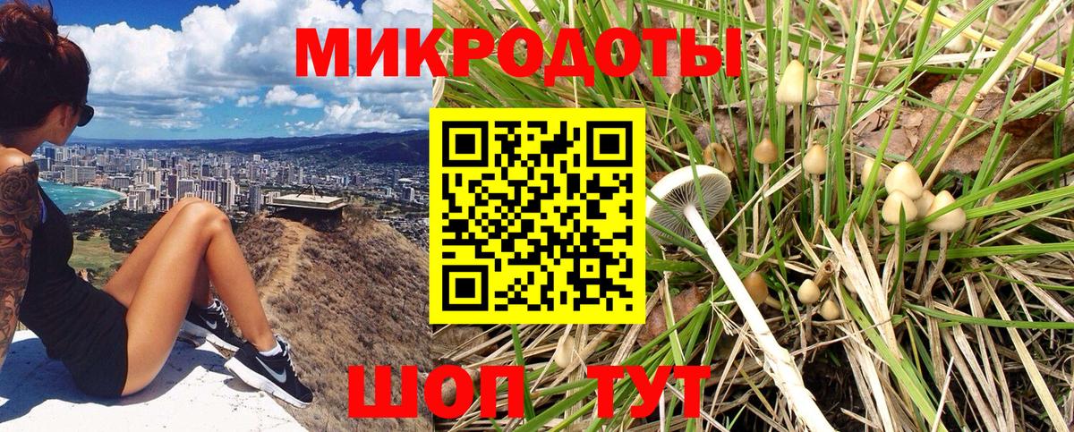 Дубна  Псилоцибиновые грибы Psilocybe  закладки  Галлюциногенные грибы мицелий  Вход с VPN 