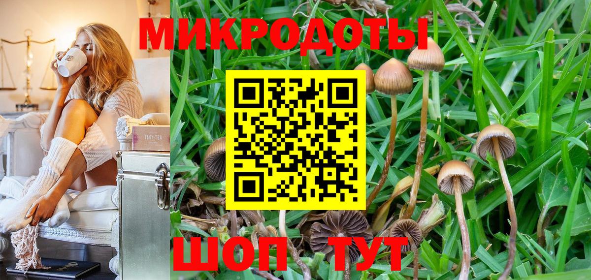 Псилоцибиновые грибы MAGIC MUSHROOMS Дубна